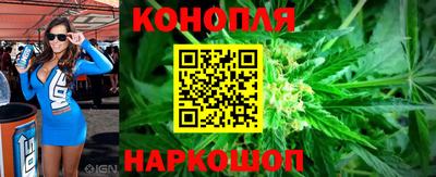 стаф Моздок
