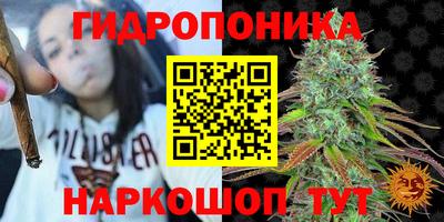 стаф Моздок
