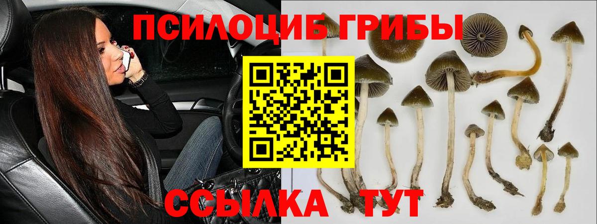 Юрга  Галлюциногенные грибы ЛСД  Галлюциногенные грибы Psilocybe  Вход с VPN 